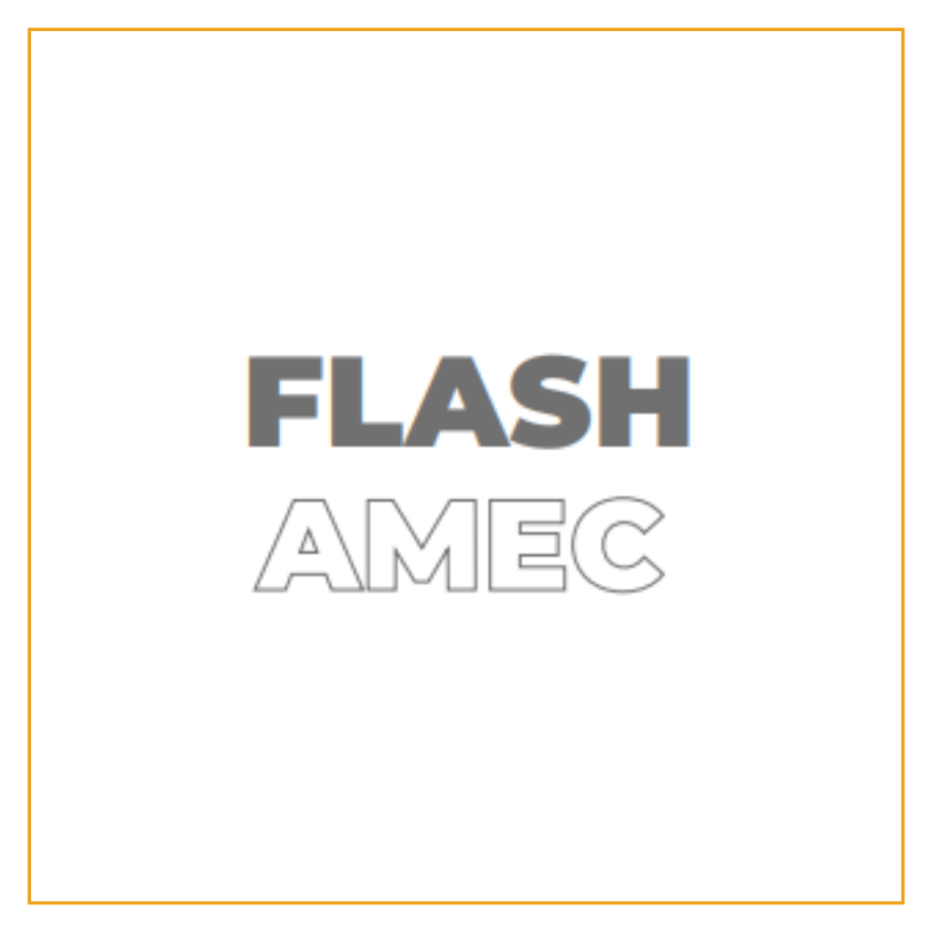 Flash Amec: Estatais listadas em bolsa – Do discurso à realidade