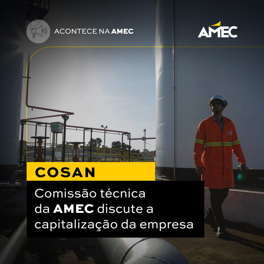 Comissão Técnica da Amec sobre o caso Cosan